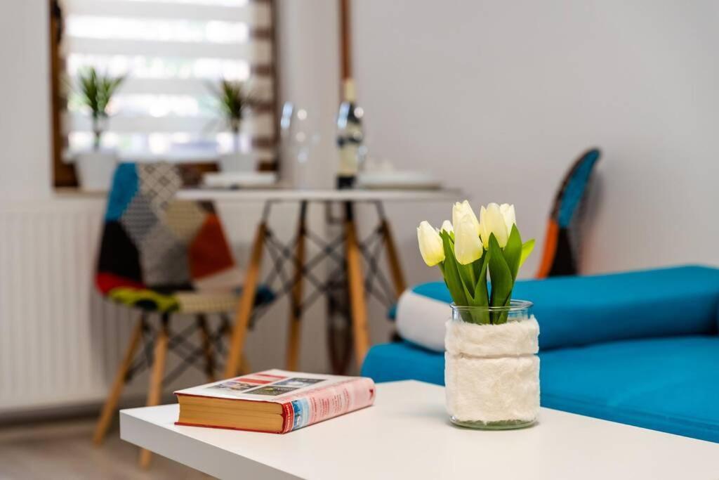 Cozy House With Nice Garden In Heart Of City Center Villa คลูจ-นาโปกา ภายนอก รูปภาพ